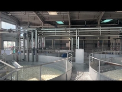 پودر ژلاتین دارویی برای تولید کپسول نرم